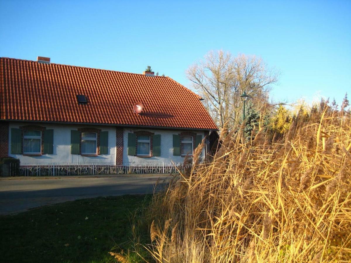 Villa Ferienhaus Ilse-Bilse Neuhausen  Exterior foto