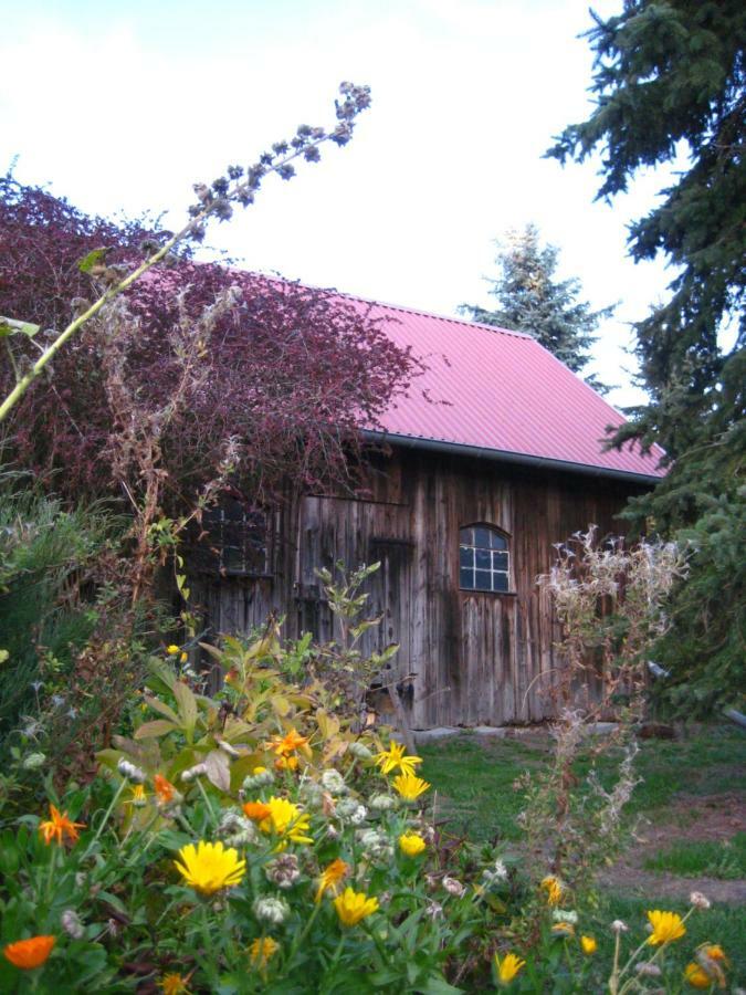 Villa Ferienhaus Ilse-Bilse Neuhausen  Exterior foto