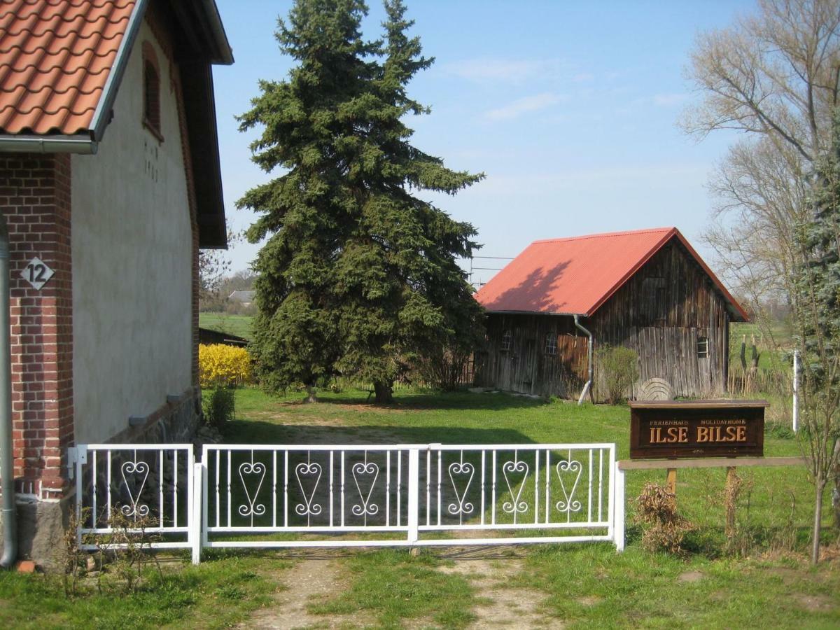 Villa Ferienhaus Ilse-Bilse Neuhausen  Exterior foto