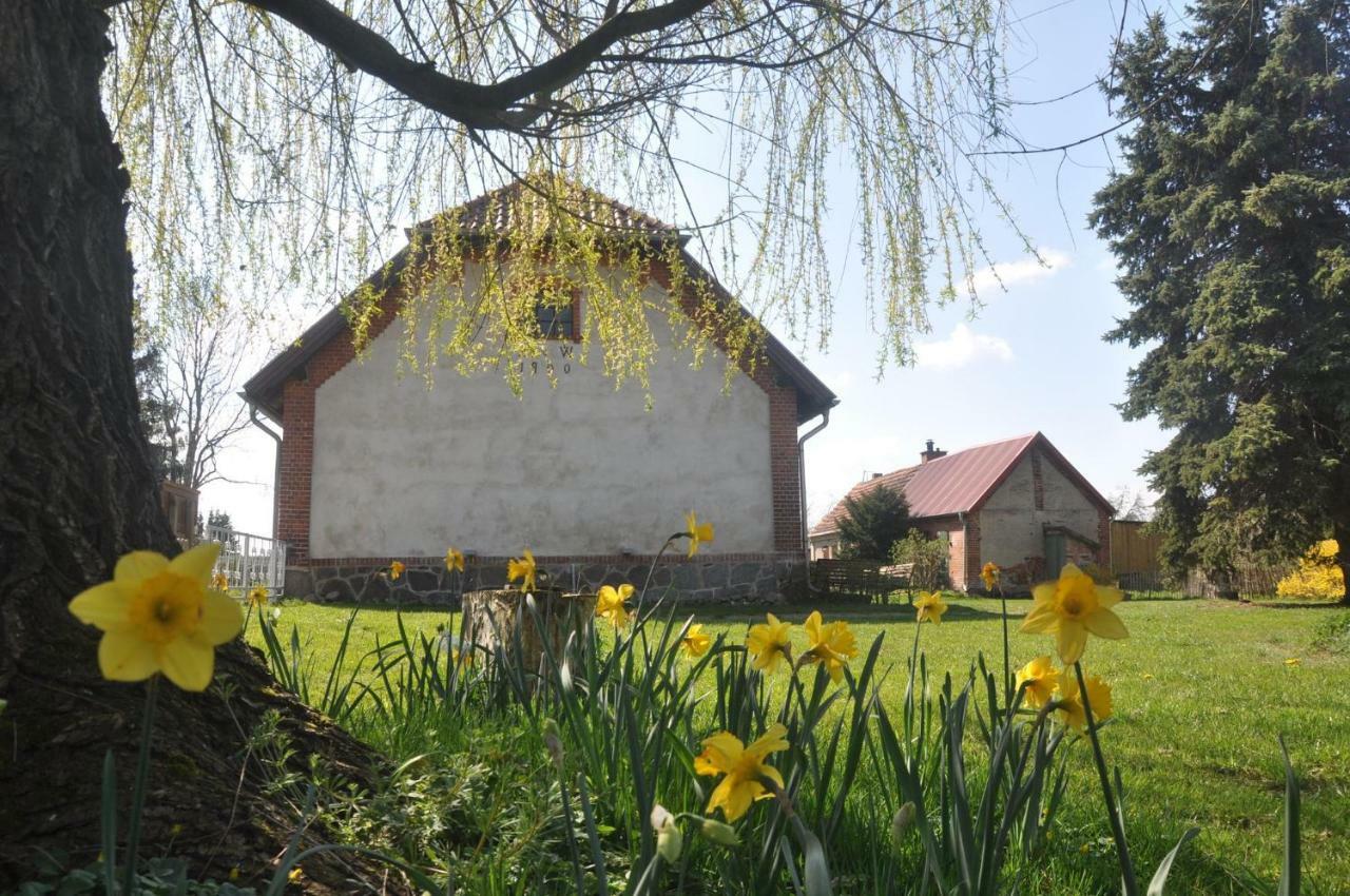 Villa Ferienhaus Ilse-Bilse Neuhausen  Exterior foto