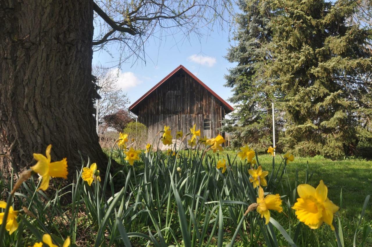 Villa Ferienhaus Ilse-Bilse Neuhausen  Exterior foto